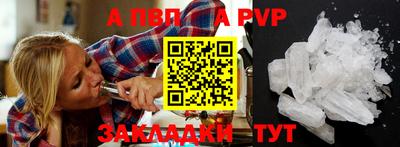спайс Малгобек