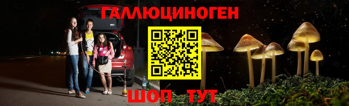 Галлюциногенные грибы мухоморы  купить   Юрга  Вход с VPN  Псилоцибиновые грибы мицелий 